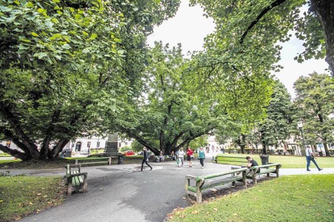 Mestna občina Ljubljana išče izvajalca, ki bo po njenem naročilu prenovil Miklošičev  park in Tavčarjevo ulico.