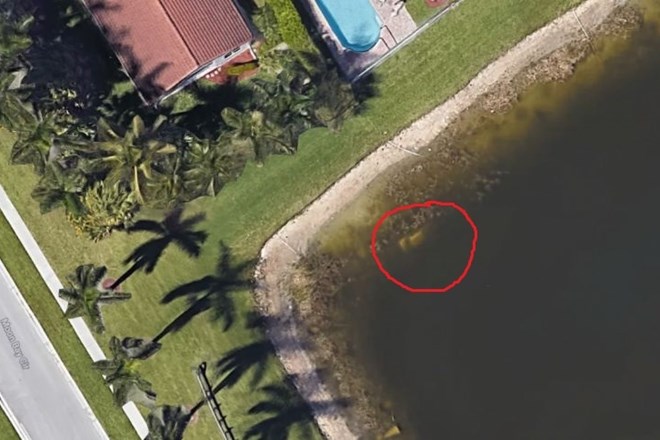 Satelitski posnetki, na katerih je v ribniku viden obris avtomobila, v katerem so našli posmrtne ostanke pogrešanega moškega,...