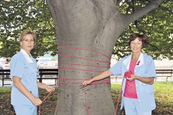 Zaposleni v mariborskem UKC so pred kliniko za ginekologijo z rožnatim okrasjem okrasili debla in krošnje dreves.