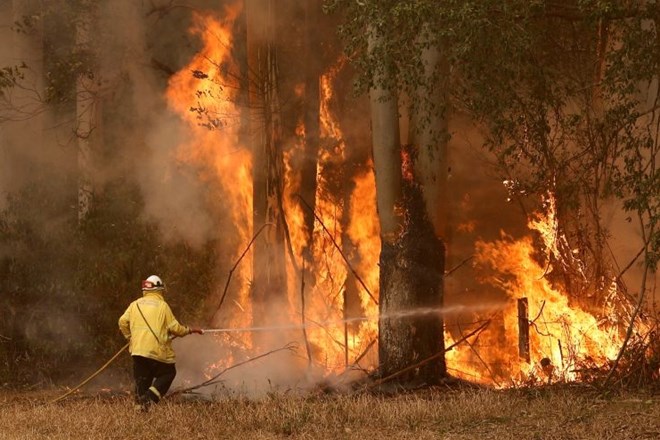 V požarih, ki divjajo na vzhodu Avstralije, so doslej življenje izgubile tri osebe. (Foto: Reuters)