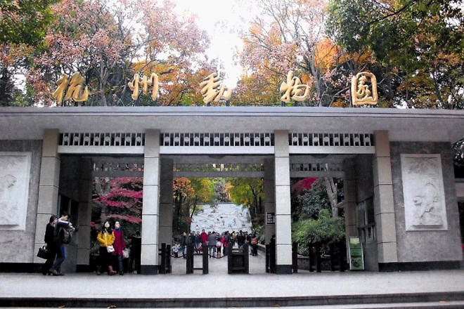 Potem ko so na vhodu v živalski vrt v Hangčouju na vzhodu Kitajske  namestili tehnologijo za prepoznavanje obrazov, jih je...