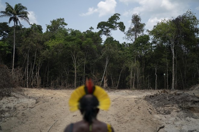 Na območju amazonskega deževnega gozda je bilo od lanskega do letošnjega julija uničenih 9762 kvadratnih kilometrov gozdnih...