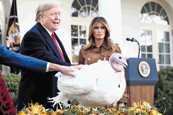 Ameriški predsednik je pred zahvalnim dnevom po tradiciji pomilostil enega purana, da bodo po državi lahko   mirnejše vesti...