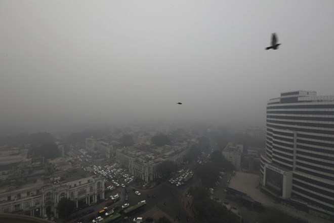 New Delhi drhti v rekordnem mrazu in gosti megli