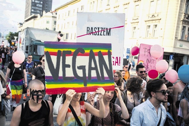 Veganske organizacije se pogosto povezujejo z drugimi civilnodružbenimi gibanji.