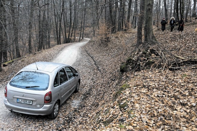 Mestna občina za zdaj ne načrtuje, da bi gozdne ceste na Golovcu zaprla za promet.