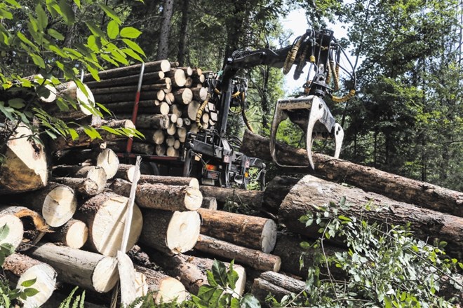 Državno gozdarsko podjetje SiDG, ki od 1. julija 2016 upravlja državne gozdove, se opremlja z lastno gozdarsko mehanizacijo....