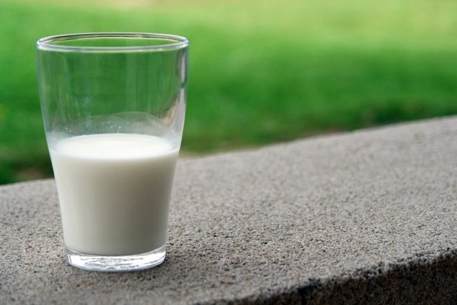 Ko se ljudje odločajo o tem, da bi živalsko mleko zamenjali za rastlinsko, je skrb za okolje zgolj eden od vidikov. Nadvse...