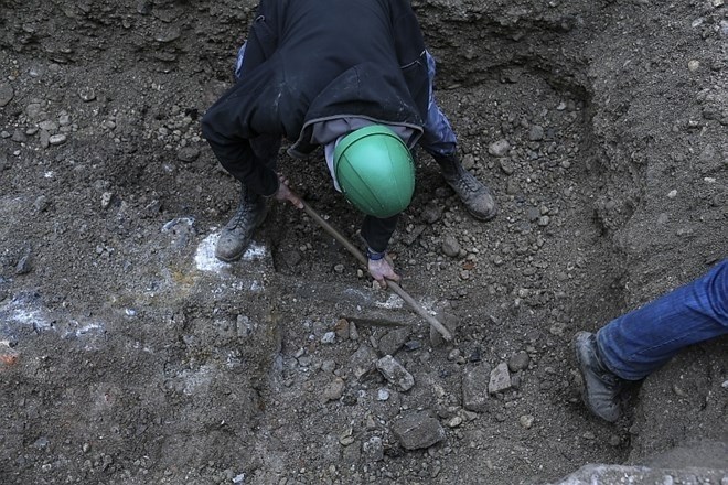 Na trasi drugega tira odkrili 120.000 let stare kosti nosoroga