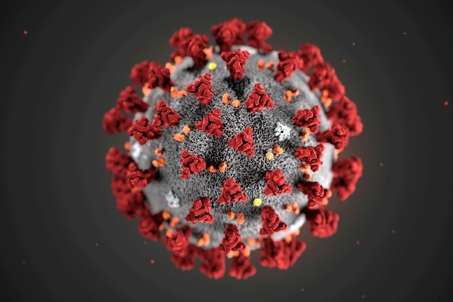 Po svetu kroži osem sevov novega koronavirusa