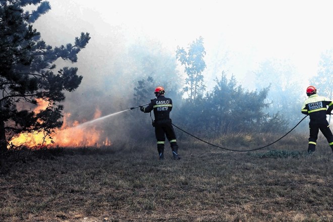 Gasilci so letos zaradi požarov v naravi oziroma na prostem intervenirali že več kot 900-krat.