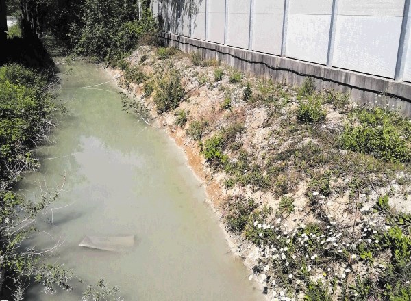 Gregor Marolt, direktor betonarne ob Cesti v Gorice, trdi, da je v jarku meteorna voda, pomešana s  prahom s ceste.