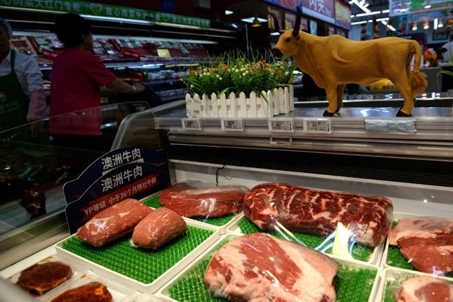 V času zahtev za preiskavo izvora covida-19 Peking zmanjšal uvoz avstralske govedine