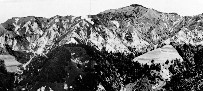 Panorama ogolelega grebena Polhograjskih dolomitov z vrha Tošča (1024 m) leta 1930, ko so gozdovi prehajali v pašnike s...