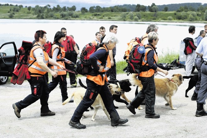 Med iskanjem pogrešanih si včasih pomagajo tudi z reševalnimi psi.