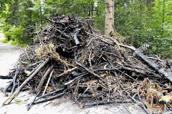 Gasilci so v soboto pogasili požar v Mostecu, kjer je zagorel kup lesa in vejevja.