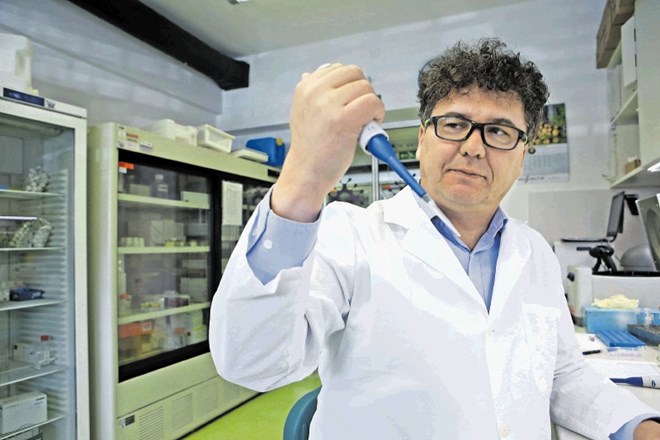 Po besedah mikrobiologa in predstojnika Inštituta za mikrobiologijo in imunologijo dr. Miroslava Petrovca je testov na zalogi...