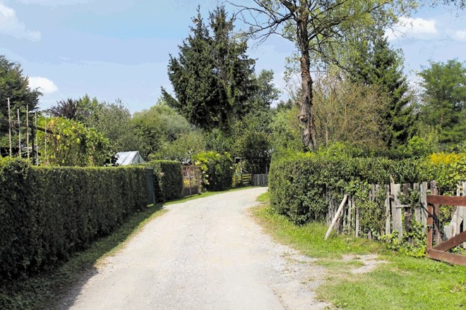 Na občini ocenjujejo, da je na območju med Ulico Koroškega bataljona in Štajersko cesto približno 300 črnih gradenj.