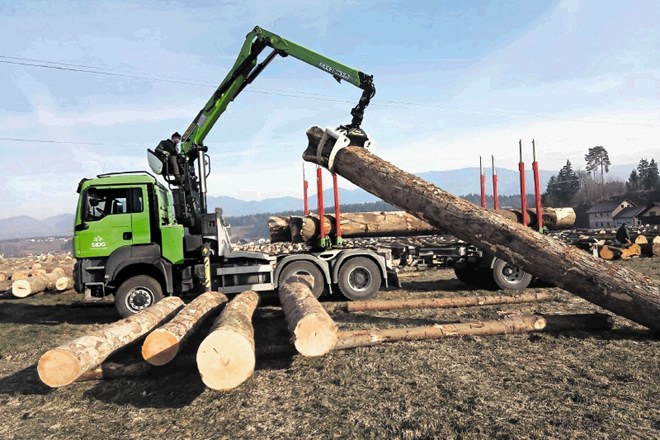 Družba Slovenski državni gozdovi (SiDG), ki upravlja  okoli 235.000 hektarjev državnih gozdov, naj bi kmalu dobila novo...