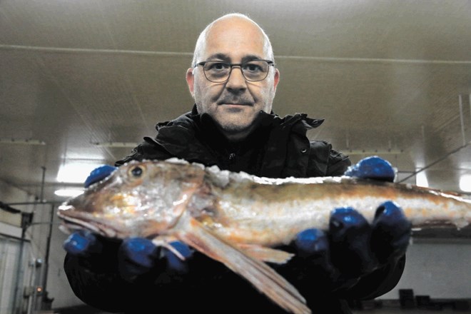 Francoski ribiči največje ribe polovijo v britanskih vodah. In najbolj si prizadevajo, da bi ribiške kvote pri sosedih...