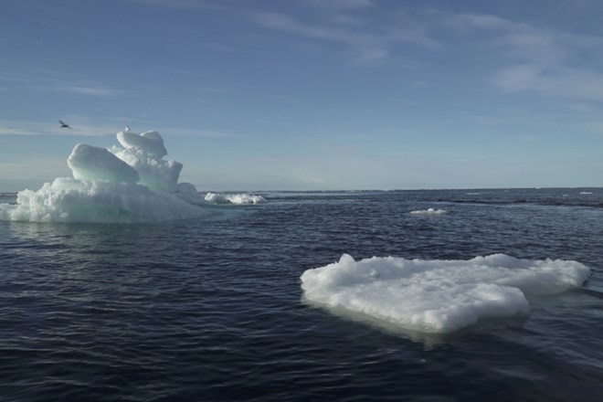V globini Arktičnega ocena naj bi se prebudili »speči velikani ogljikovega cikla«.