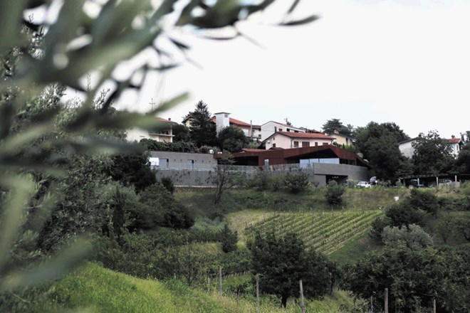 Pojav izpostavljanja posameznih leg in vinogradov je tudi v Sloveniji postal moderen.