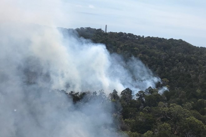 Na vzhodu in jugu Avstralije je v požarih zgorelo približno 19 milijonov hektarjev površin.