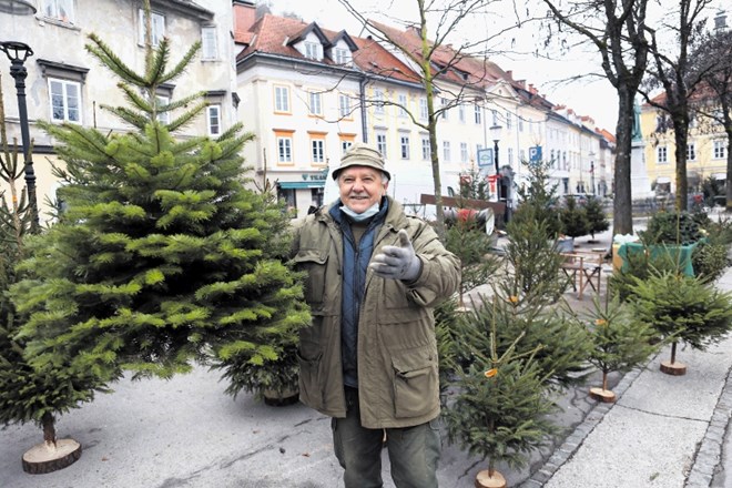 Že 40 let Zvone Bregar  na osrednji tržnici v Ljubljani prodaja smreke, zadnja leta tudi gojene kavkaške jelke.