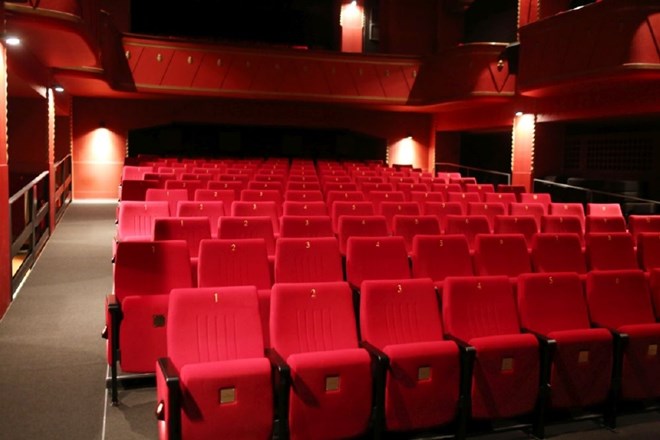 Slovenski filmski center na zadnji dan leta prejel sredstva iz proračuna
