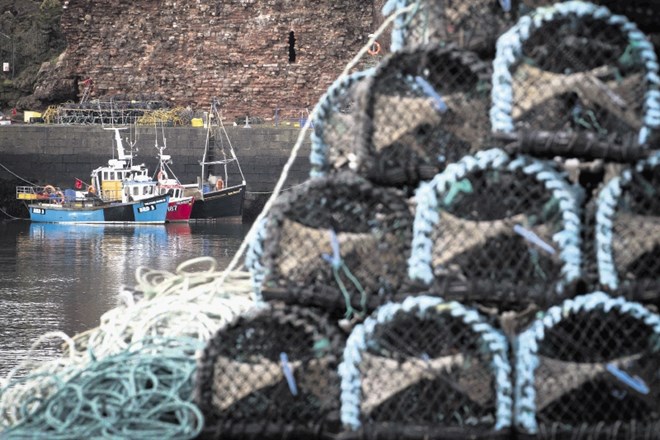 Britanski ribiči so po dokončni ločitvi Velike Britanije od Evropske unije razočarani nad Johnsonovim dogovorom o prihodnjih...