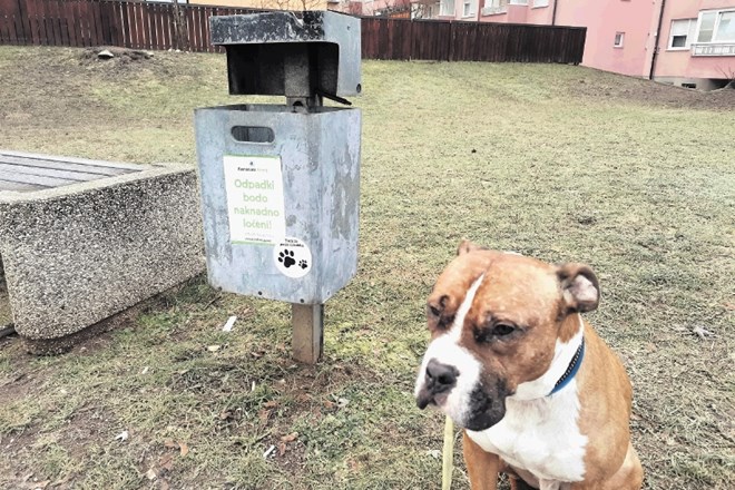Ob tem, ko v Kranju odstranjujejo koše za pasje iztrebke, smetnjake za mešane komunalne odpadke opremljajo z nalepkami pasjih...