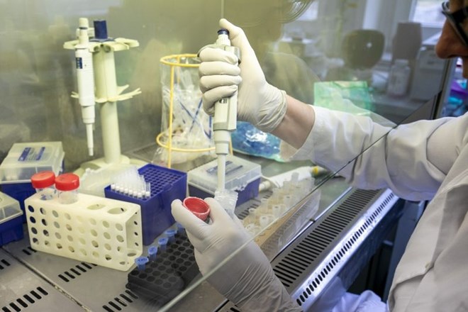 V petek potrdili 135 okužb z novim koronavirusom