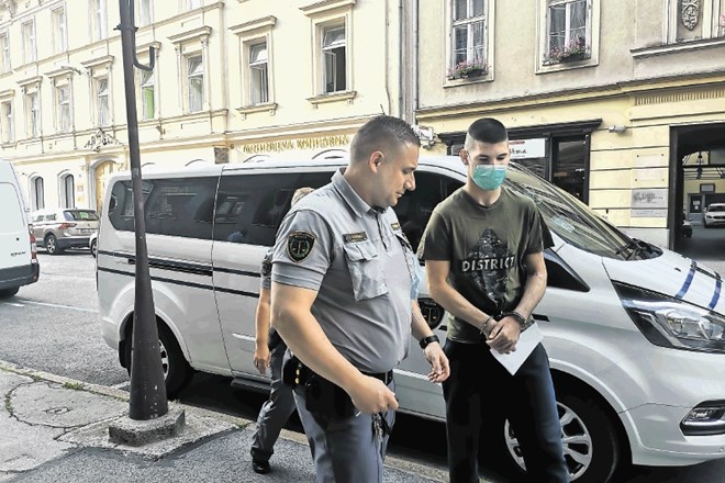 Mihdet Zelenkić je na martinovo lani razgrajal po Velenju in grozil policistom, policistko pa z udarcem zbil po tleh.