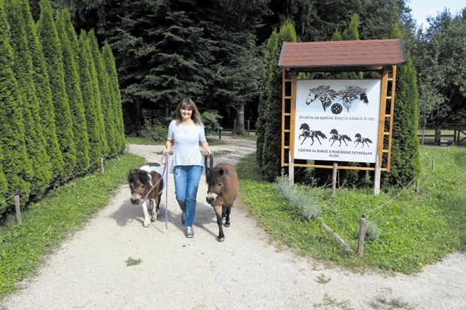 Maja Gregorič skupaj s sodelavci in prostovoljci skrbi za konje s posebnimi potrebami v posebnem centru, ki deluje v občini...