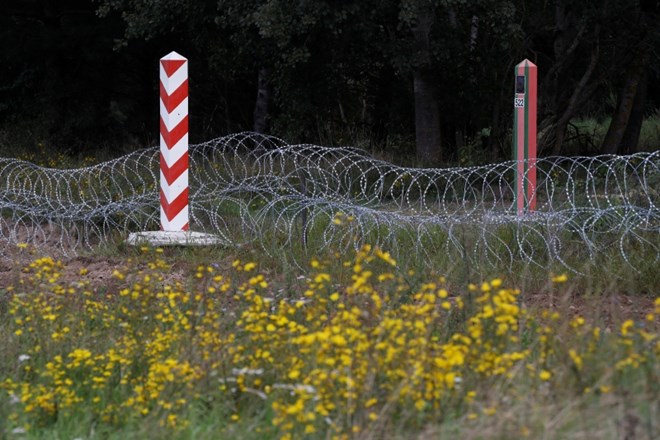 Zrasla bo še ena ograja, tokrat med Poljsko in Belorusijo