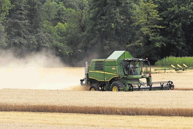 Pridelovalci strnih žit, tudi pšenice, naj bi bili med tistimi, ki bodo po novem strateškem načrtu skupne kmetijske politike...