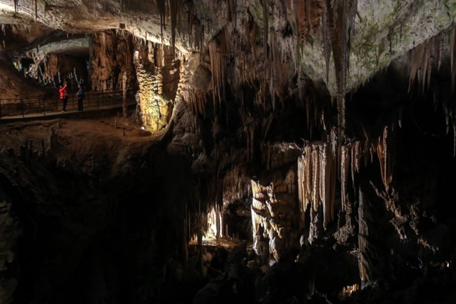 Postojnsko jamo naj bi letos obiskalo 220.000 obiskovalcev