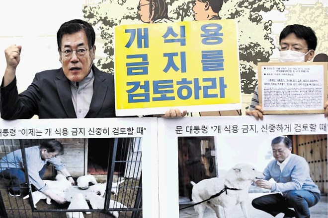 Južnokorejski borci za pravice živali si že dolga leta prizadevajo za prepoved uživanja pasjega mesa. Zaveznika so očitno...