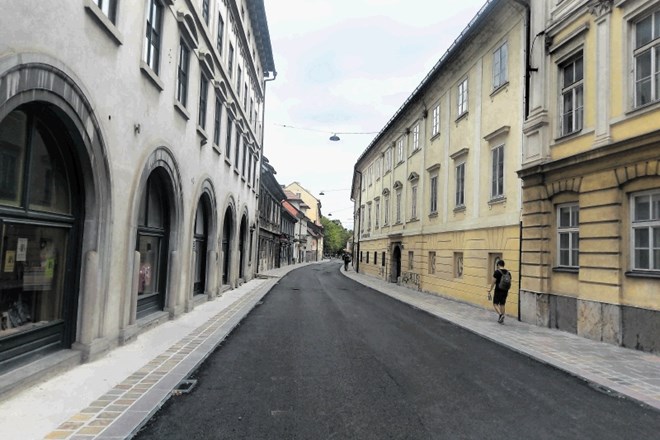 Študenti Univerze za tretje življenjsko obdobje so analizirali prenovo Poljanske ceste. Ugotovili so, da  s terenom poravnan...