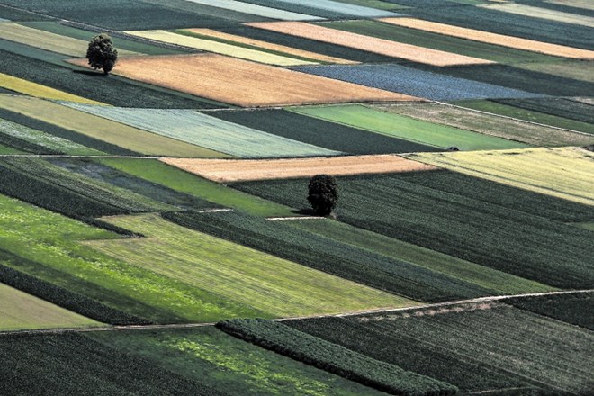 Kmetijskih zemljišč v Sloveniji primanjkuje, zato je boj za vsak njihov košček srdit.