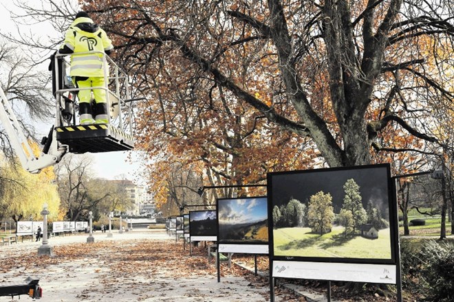 V Jakopičevem sprehajališču bo razstava gorskih fotografij Jake Čopa na ogled do 15. februarja 2022.