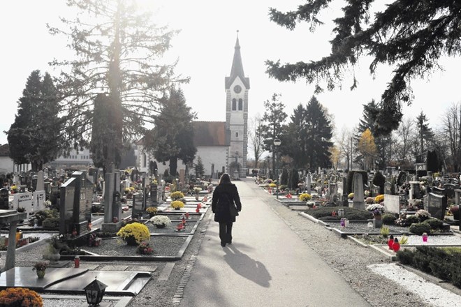V nedavno potrjenem rebalansu letošnjega proračuna je celoten projekt širitve pokopališča Vič ocenjen na 6,8 milijona evrov.