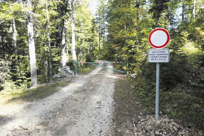 Na zapornice na gozdnih cestah po Pokljuki nas je opozoril bralec Dnevnika. V javnem zavodu TNP pravijo, da poleg obstoječih...