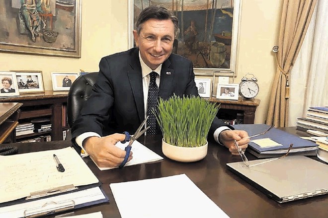 Borut Pahor je takole tradicionalno »pokosil« božično pšenico.