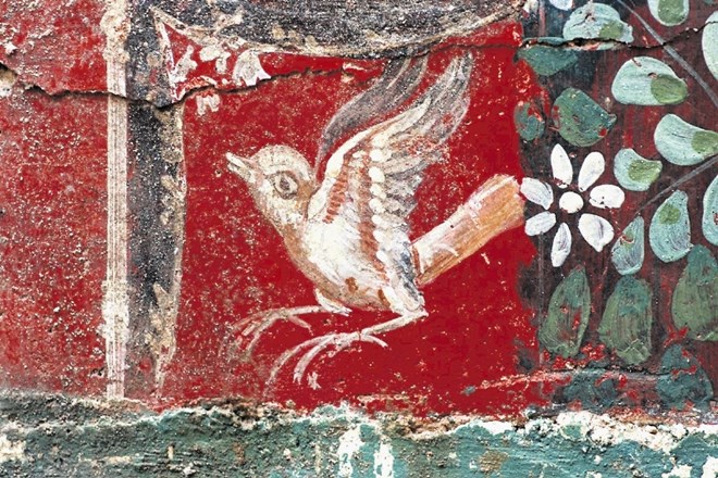 Takšne antične freske, kot jih imajo v Celju, so v Evropi izjemno redke.