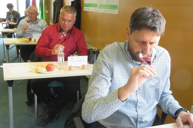 Ocenjevanje vin: Tudi cviček se je skozi desetletja spremenil