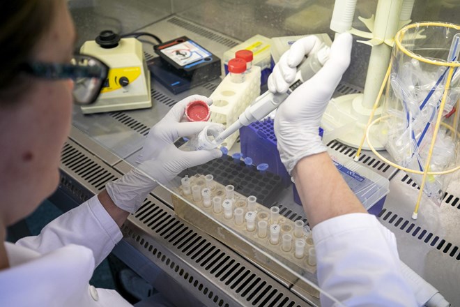 V nedeljo potrdili 71 okužb z novim koronavirusom