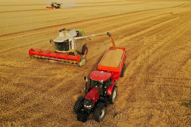 Rusijo in Ukrajino po navedbah Kijeva od sporazuma glede izvoza žita ločita dva koraka