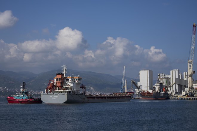 Iz Ukrajine izpluli še dve ladji z žitom