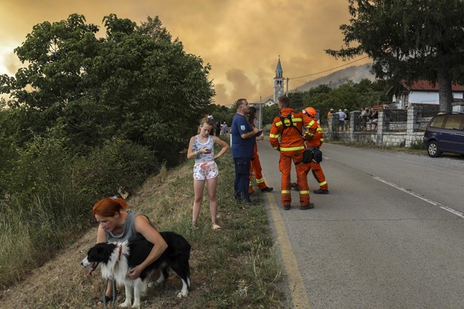 Gozdni požari v Sloveniji: Kras je najbolj ogrožen